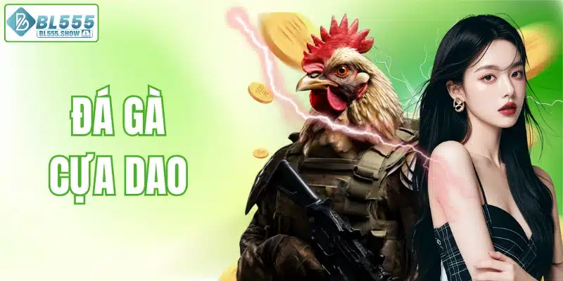 Đá gà cựa dao