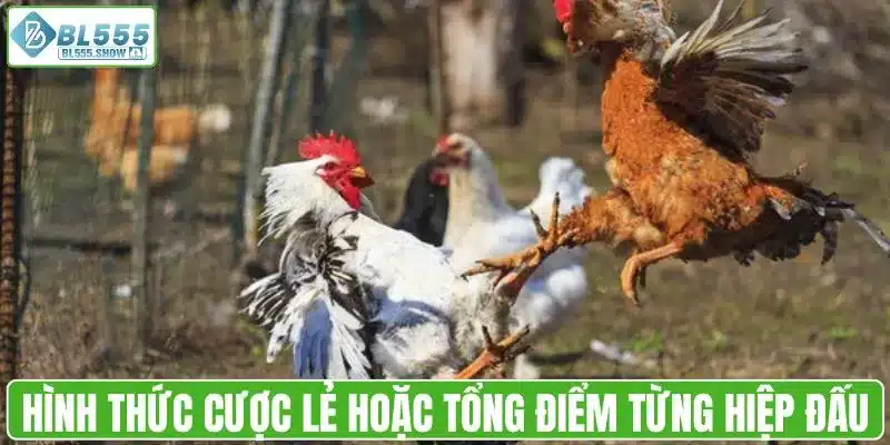 Hình thức cược lẻ hoặc tổng điểm từng hiệp đấu